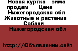 Новая куртка, (зима) продам!  › Цена ­ 800 - Нижегородская обл. Животные и растения » Собаки   . Нижегородская обл.